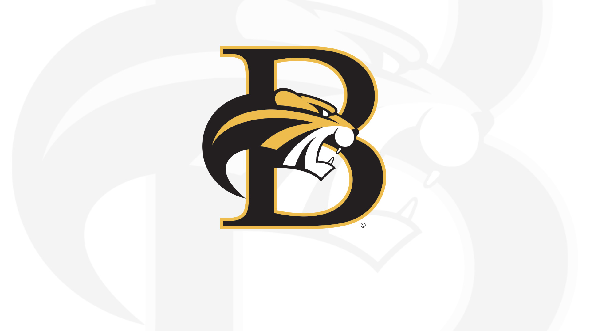 St. Simons' Super Star Transfers to Brenau
